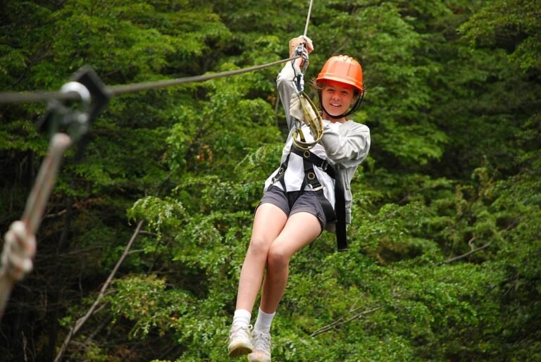 canopy (10)