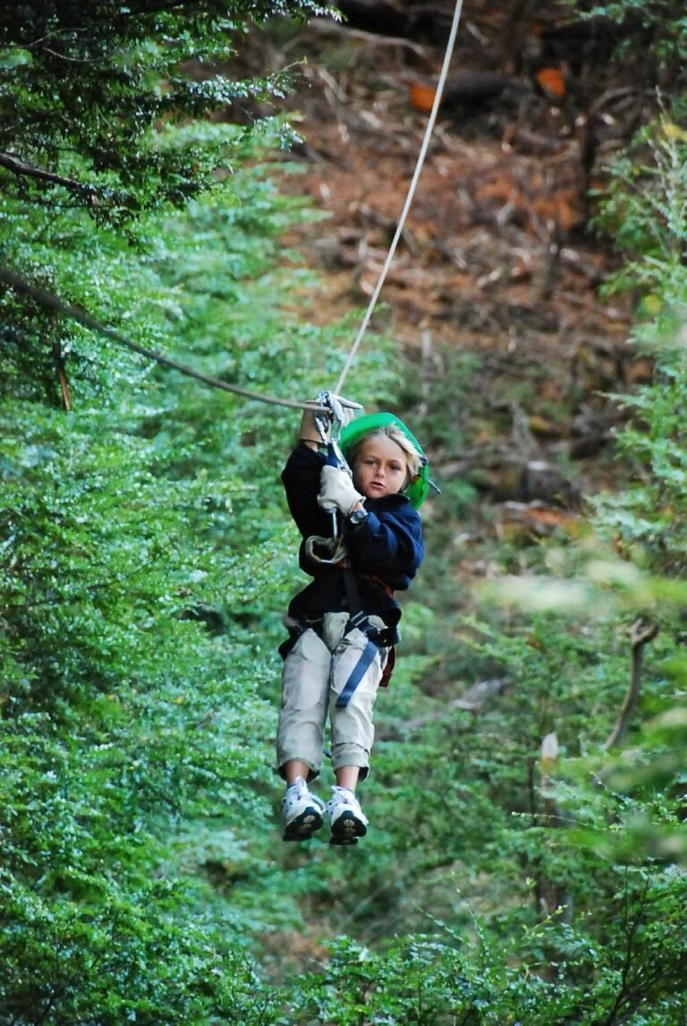 canopy (7)