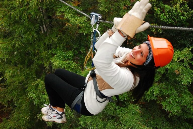 canopy (9)