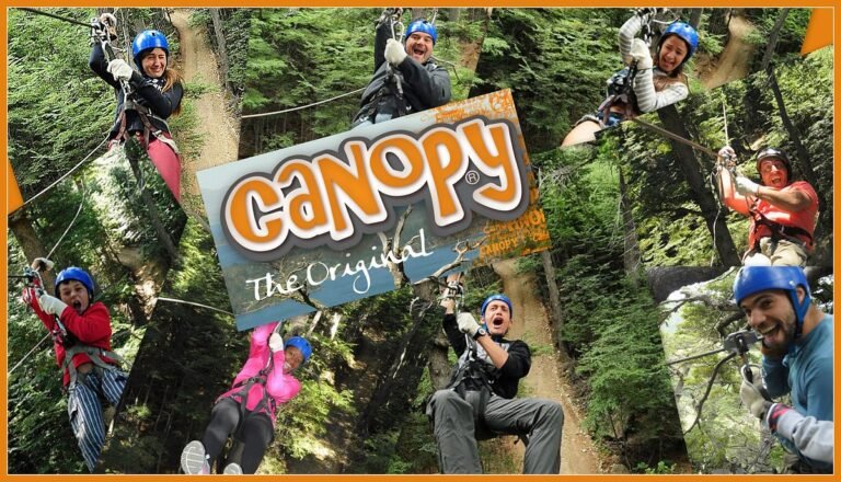 caripelas-canopy