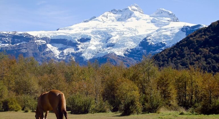 cerro-tronador-ventisquero-negro