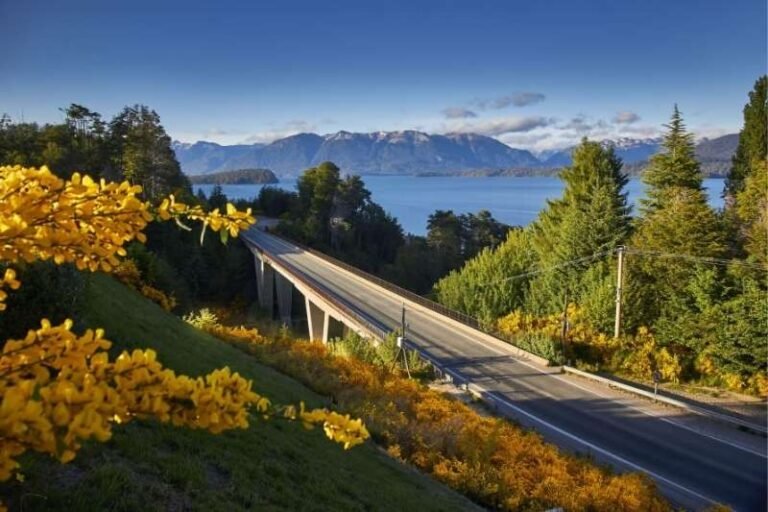 san-martin-de-los-andes9