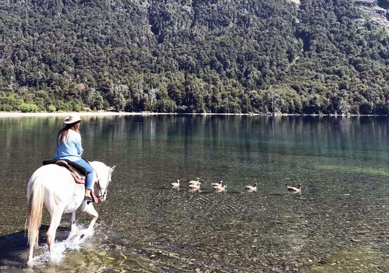 cabalgata-baqueanos-id1031-8b8c