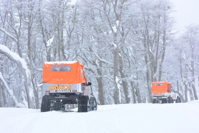 Copia-de-DSC_5050-scaled